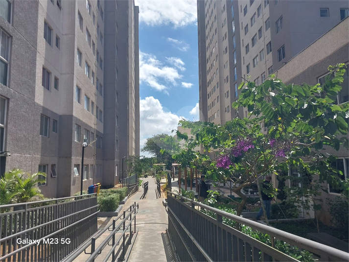 Foto REO1127586