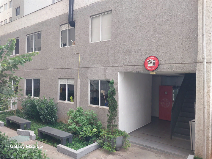 Foto REO1127586