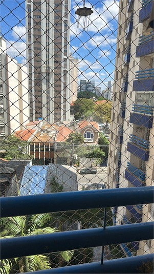 Foto REO1127604
