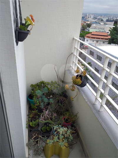 Foto REO1127610