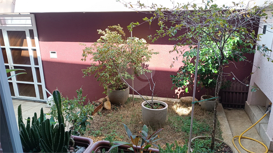 Foto REO1127615