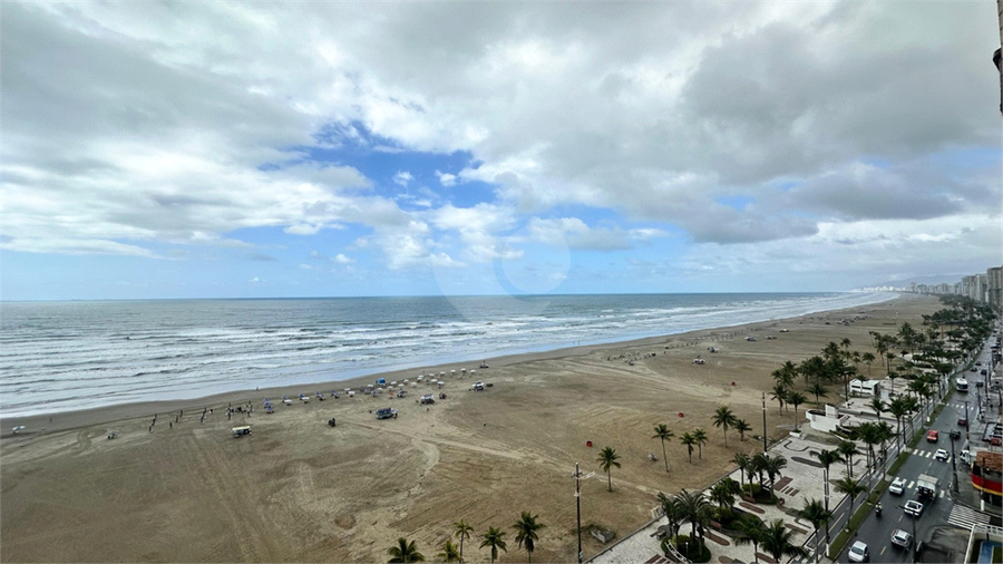 Foto REO1127624