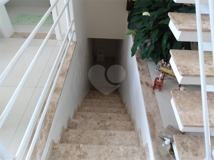Foto REO1127636