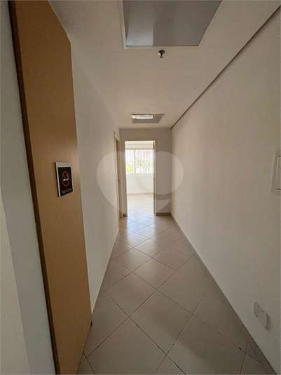 Foto REO1127648