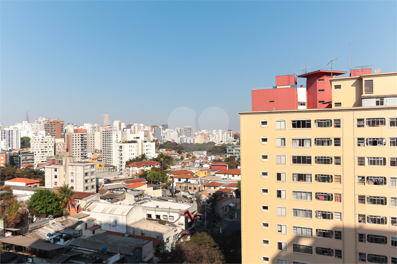Foto REO1127675