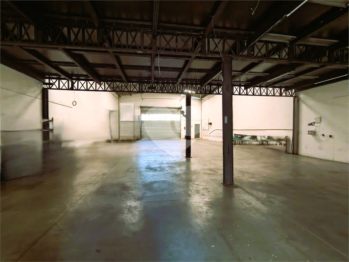 Foto REO1127691