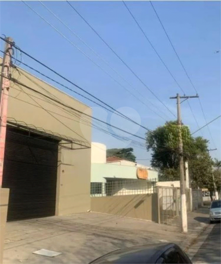 Foto REO1127691