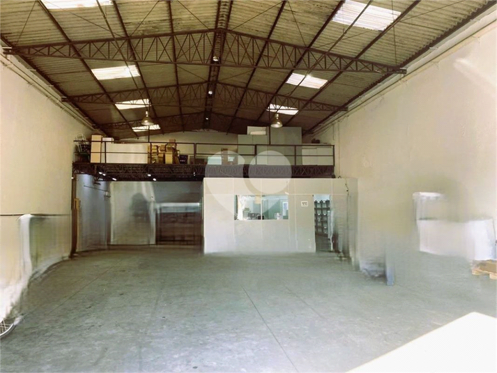 Foto REO1127691