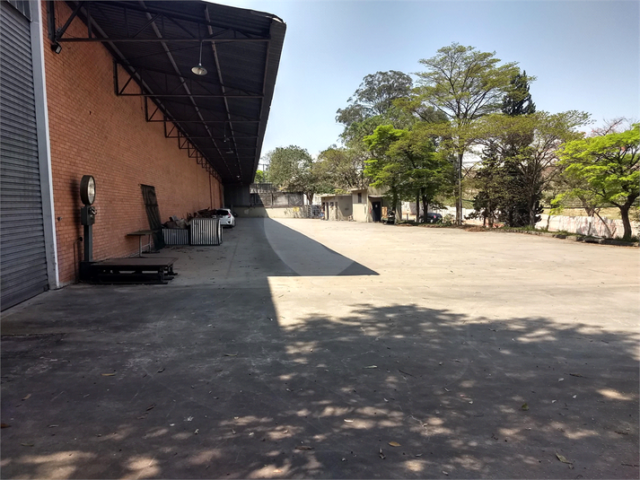Foto REO1127695
