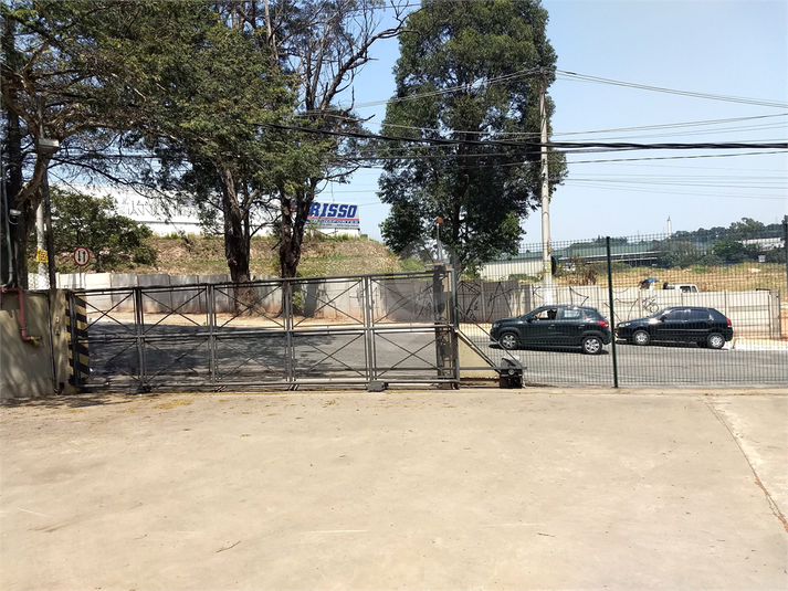 Foto REO1127695