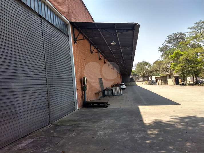 Foto REO1127695