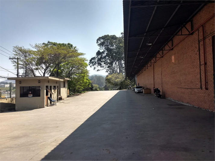 Foto REO1127695