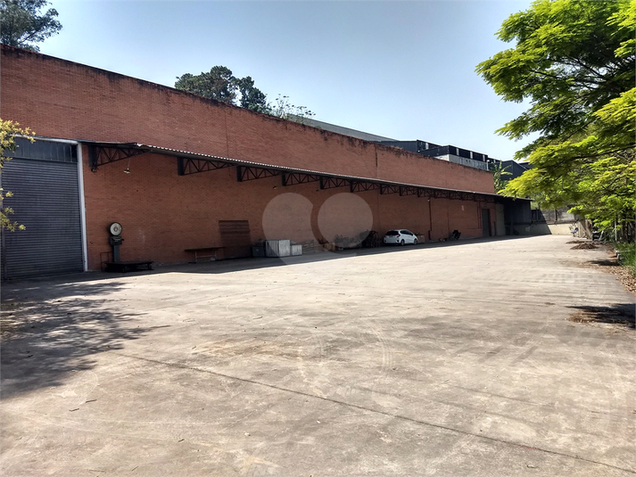 Foto REO1127695