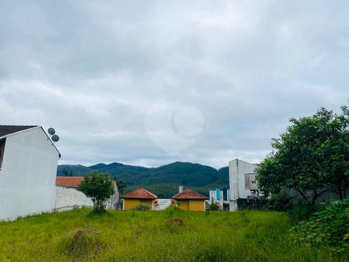 Foto REO1127710