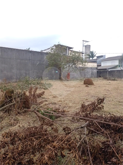 Foto REO1127710