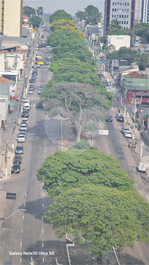 Foto REO1127728