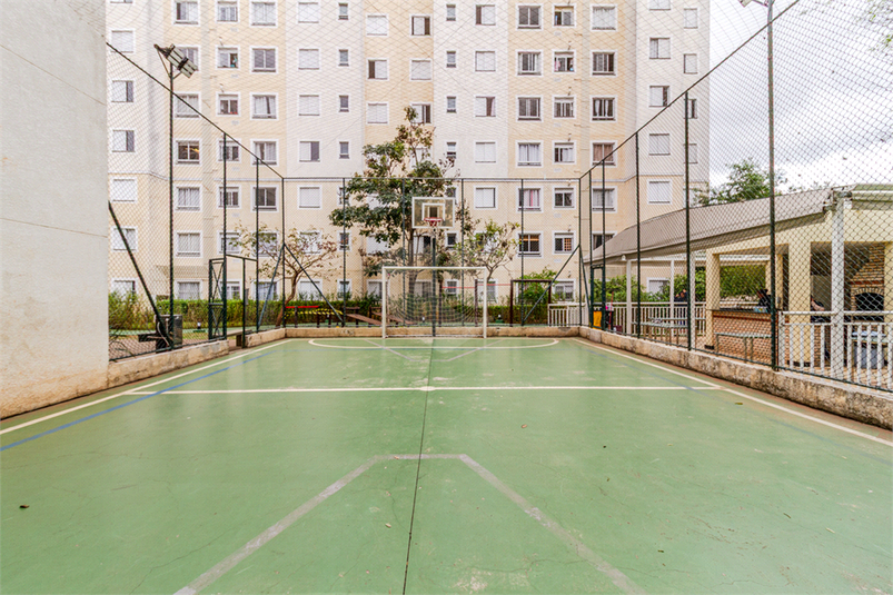 Foto REO1127742