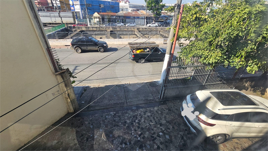 Foto REO1127748