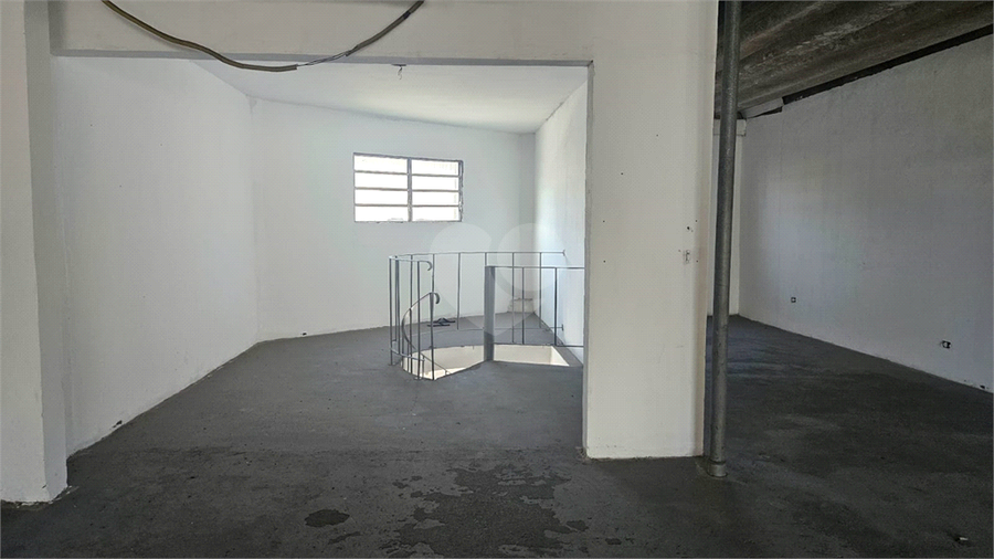 Foto REO1127748
