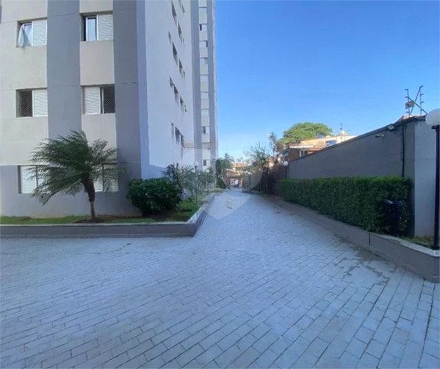 Foto REO1127760