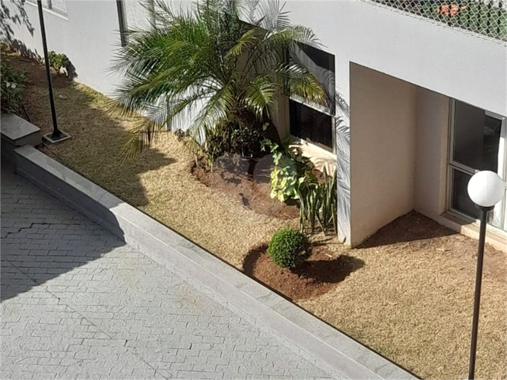 Foto REO1127760