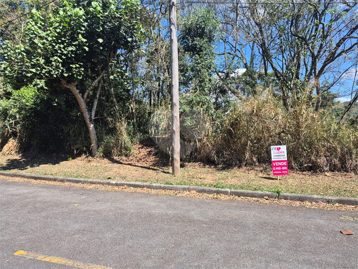 Foto REO1127768