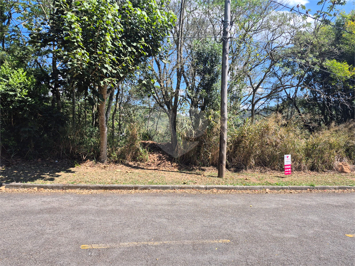 Foto REO1127768