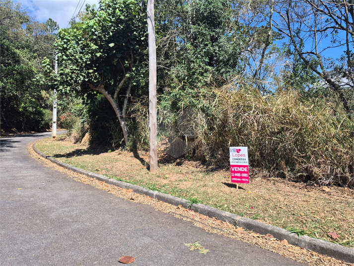Foto REO1127768