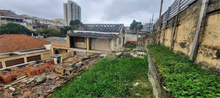 Foto REO1127776