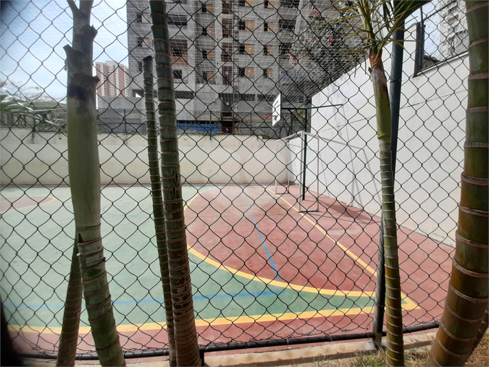 Foto REO1127786