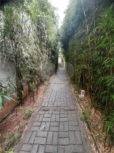 Foto REO1127786
