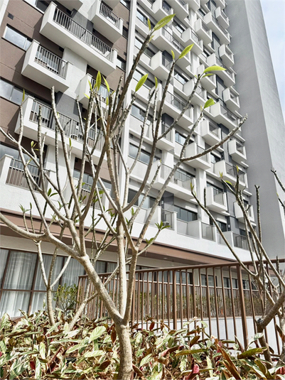 Foto REO1127791