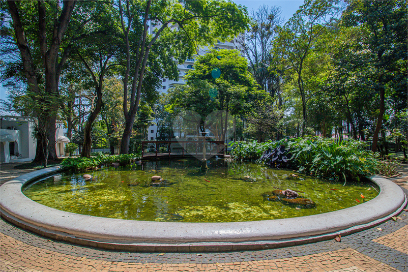 Foto REO1127802