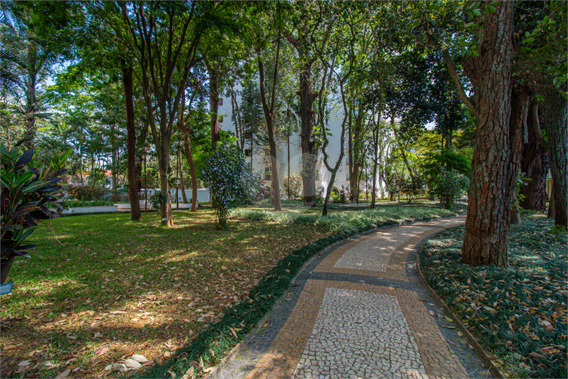 Foto REO1127802