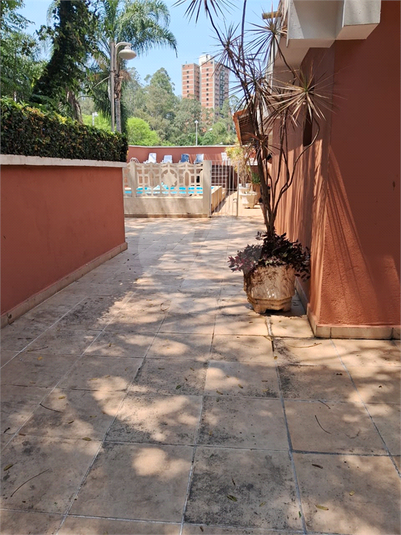 Foto REO1127806