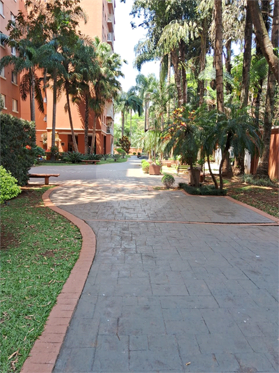 Foto REO1127806