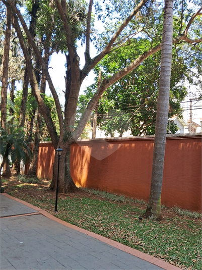 Foto REO1127806