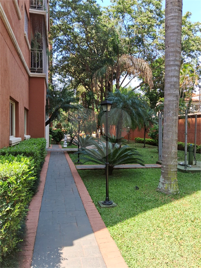 Foto REO1127806