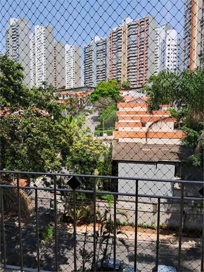 Foto REO1127806
