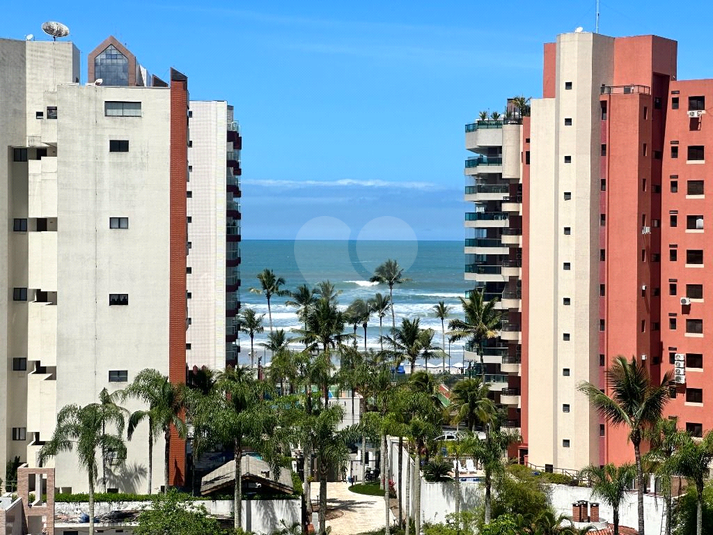 Foto REO1127818