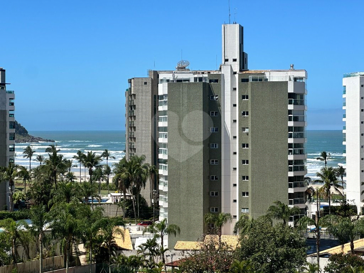 Foto REO1127818