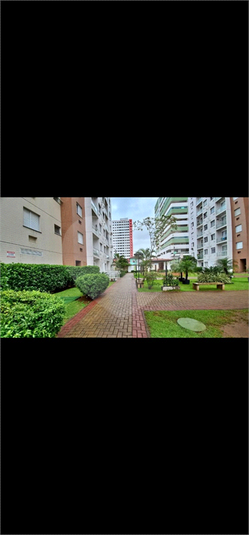 Foto REO1127820