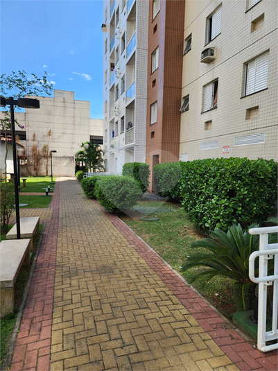 Foto REO1127820