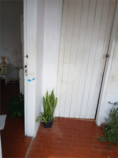 Foto REO1127824