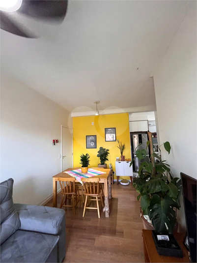 Foto REO1127826