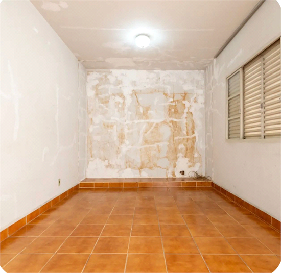 Foto REO1127828