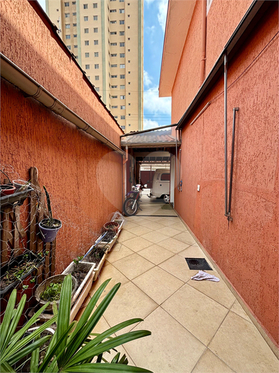 Foto REO1127831