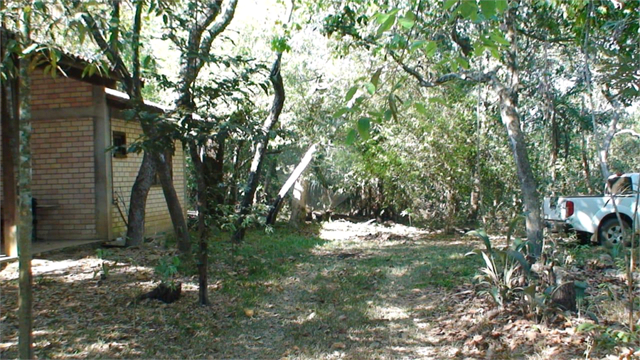 Foto REO1127835