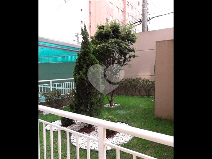 Foto REO1127851