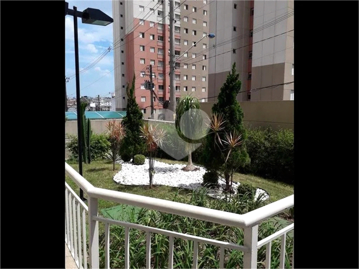 Foto REO1127851